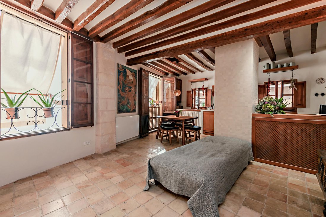 Apartment in Palma, Balearic Islands, Spain 1 - 14893433