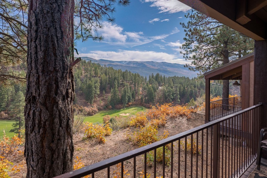 Condo in Durango, Colorado, United States 3 - 14891253