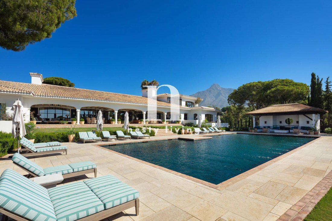Villa in Golden Mile, Andalusia, Spain 1 - 14199048