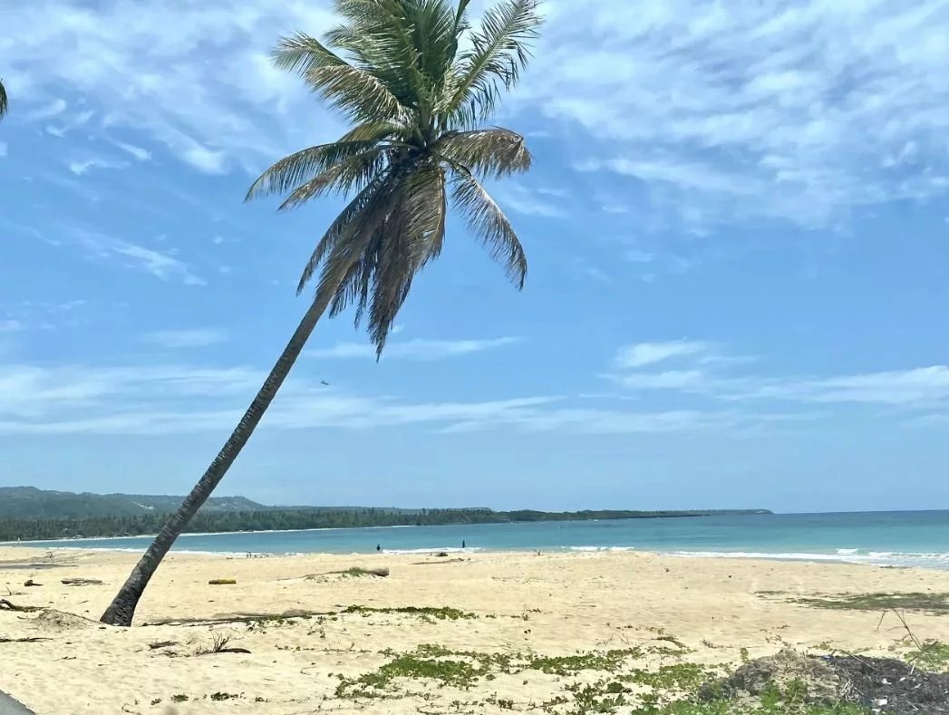 Maison à Samaná, Santa Bárbara de Samaná, République dominicaine 2 - 12444467