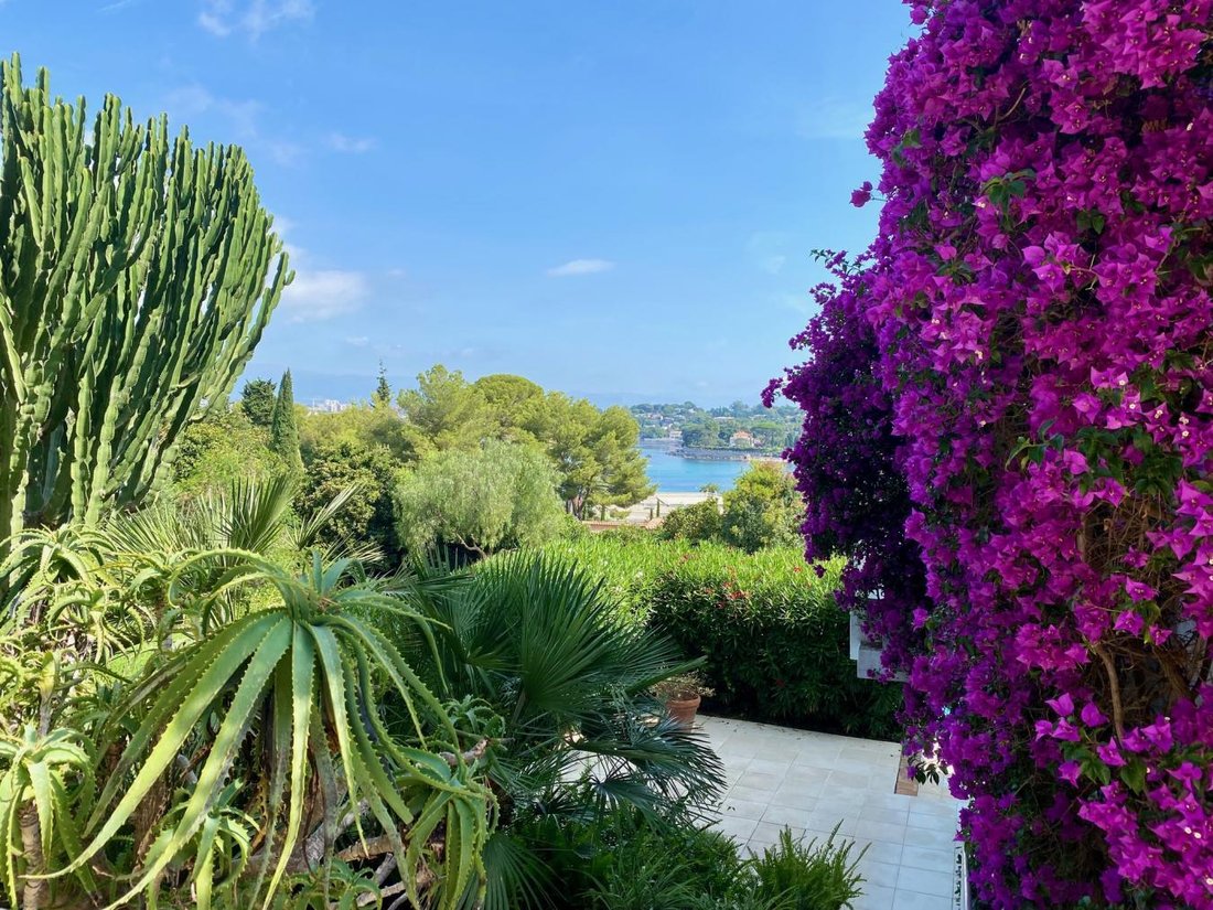 Luxury Villa, Cap D'antibes In Antibes, Provence Alpes Côte D'azur ...