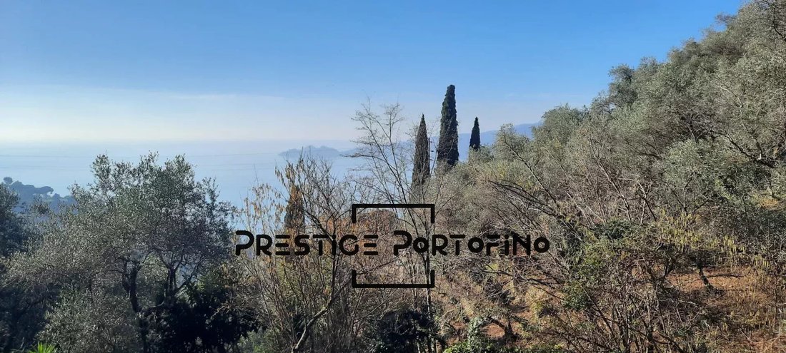 Zoagli, Liguria, Italy 2 - 14102401