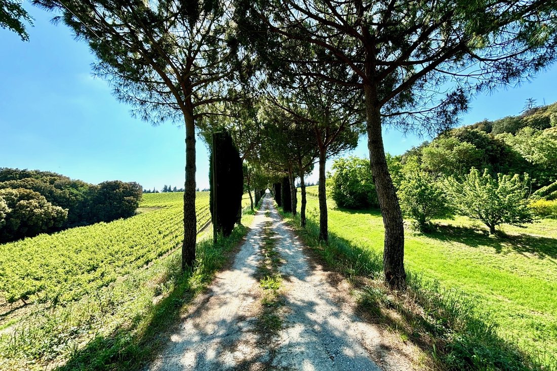 A 19th-Century Château & Vineyard Kingdom in Occitanie’s Golden Hills