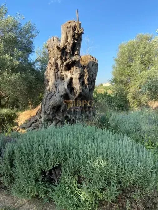 House in Chalkida, Thessaly and Central Greece, Greece 5 - 14896510