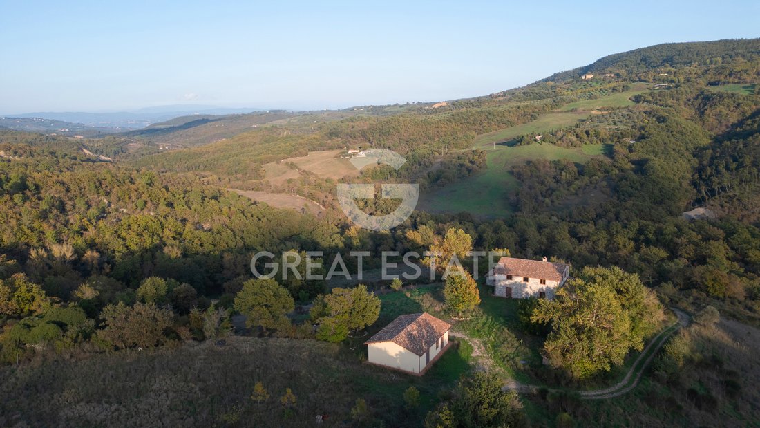 Estate in San Venanzo, Umbria, Italy 3 - 13888528