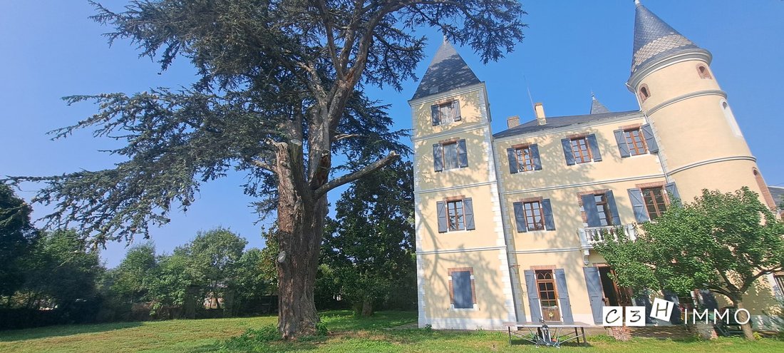 Château de Trémoulet: A Whisper of Time in Occitanie’s Golden Light