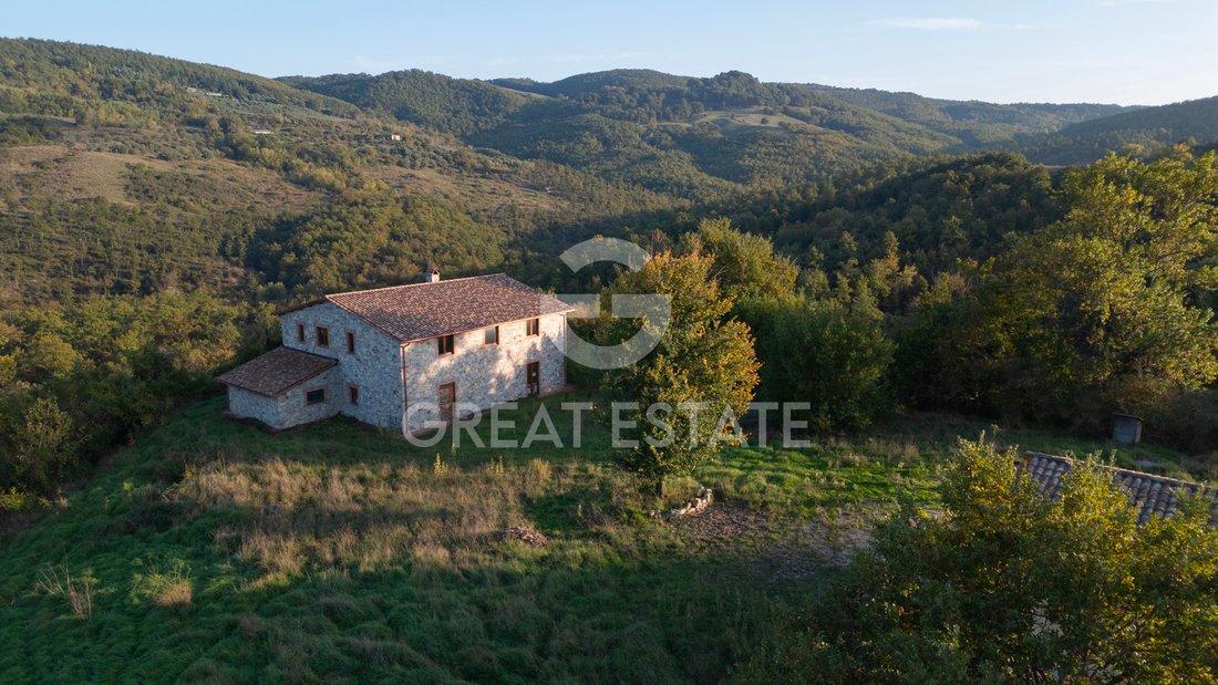 Estate in San Venanzo, Umbria, Italy 1 - 13888528