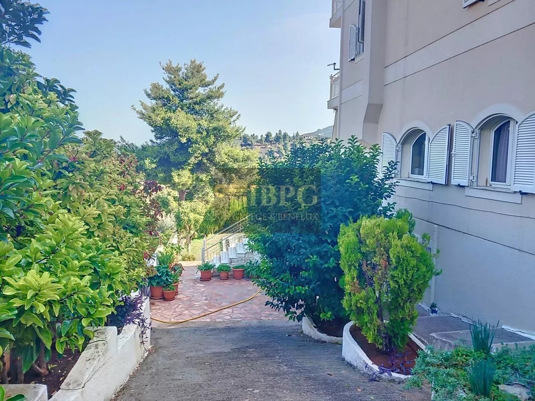 Oropos, Attica, Greece 5 - 14896513