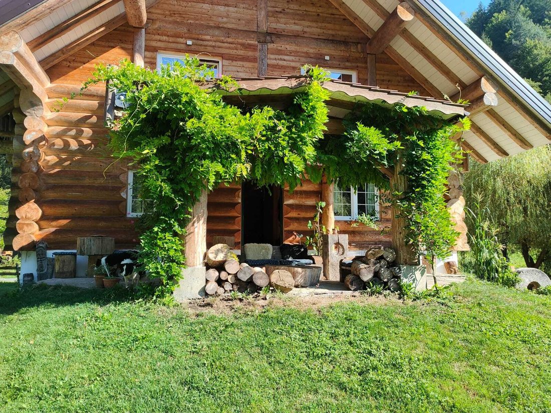 Chalet in Nötsch im Gailtal, Carinthia, Austria 4 - 14894871