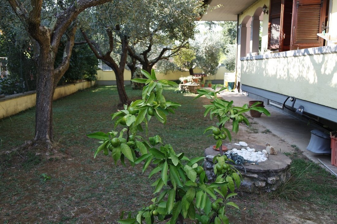 House in Fontia-Fossola-Fossone, Marina di Carrara, Tuscany 5 - 14896403