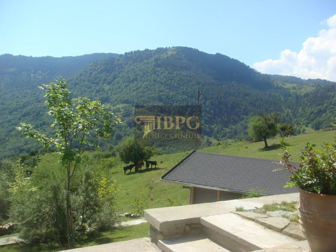 House in Grevena, Epirus and Western Macedonia, Greece 3 - 14900125