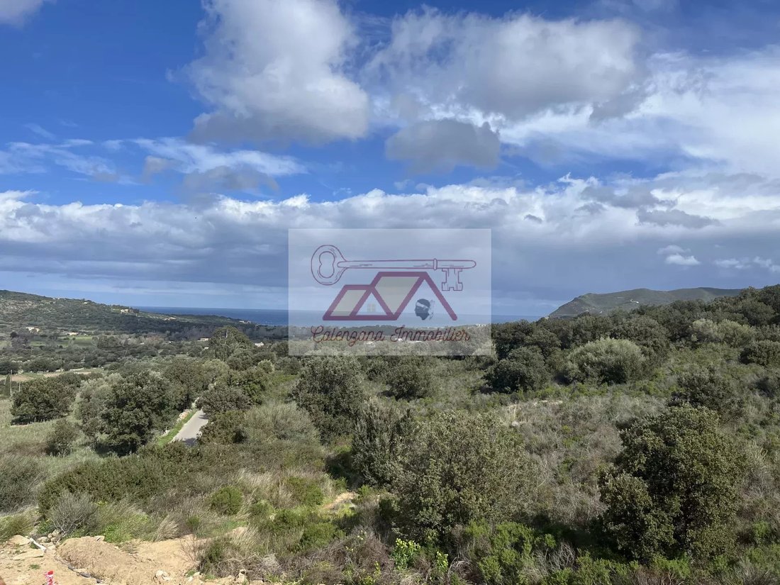 Estate in Palasca, Corsica, France 2 - 13925300