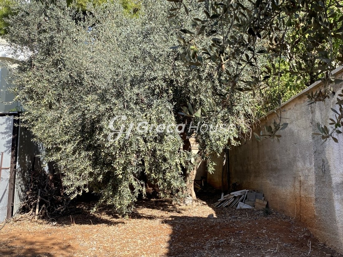 Voula, Attica, Greece 4 - 14904303