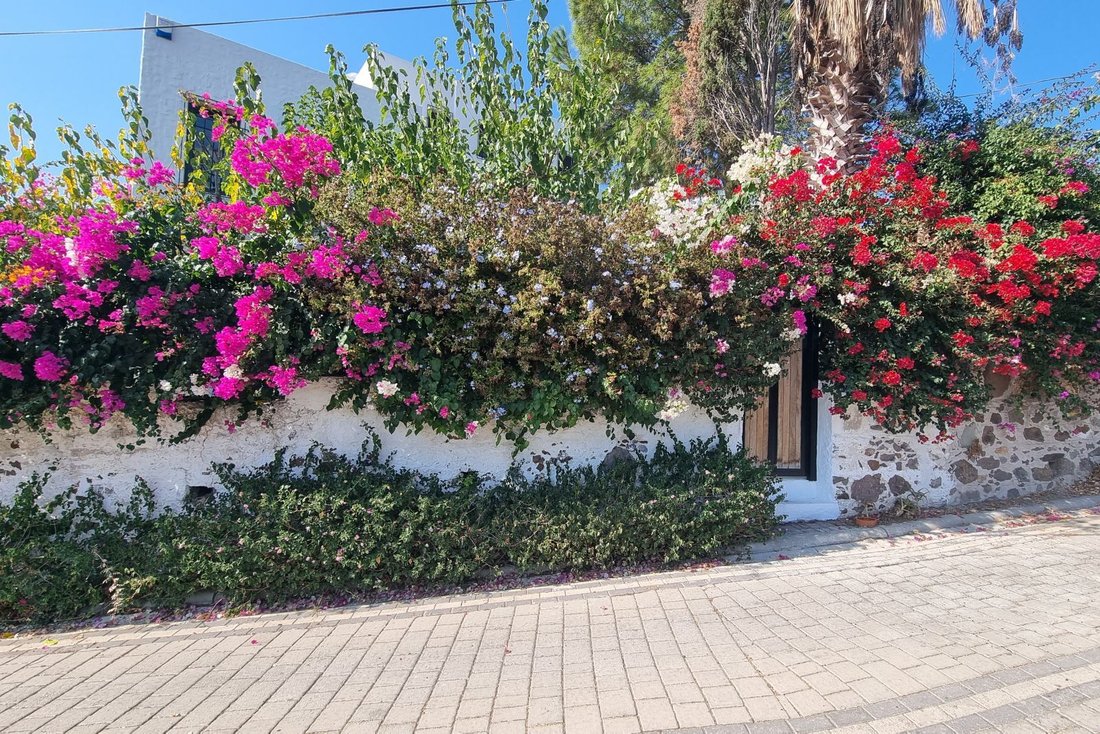 Townhouse in Gümüşlük, Muğla, Turkey 3 - 14901595
