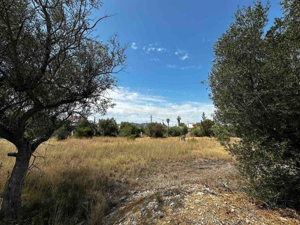 Land in Salamina Community, Salamina, Greece 3 - 14907697