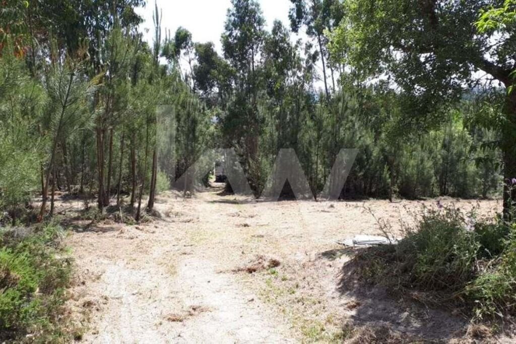 Land in Belas, Lisbon, Portugal 4 - 14908777