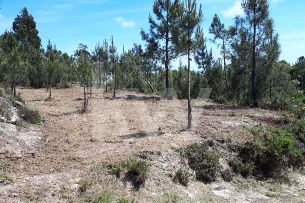 Land in Belas, Lisbon, Portugal 5 - 14908777