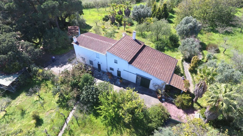 Farm Ranch in Aveiras de Baixo, Lisbon, Portugal 1 - 14908544