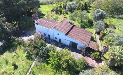 Farm Ranch in Aveiras de Baixo, Lissabon, Portugal 1