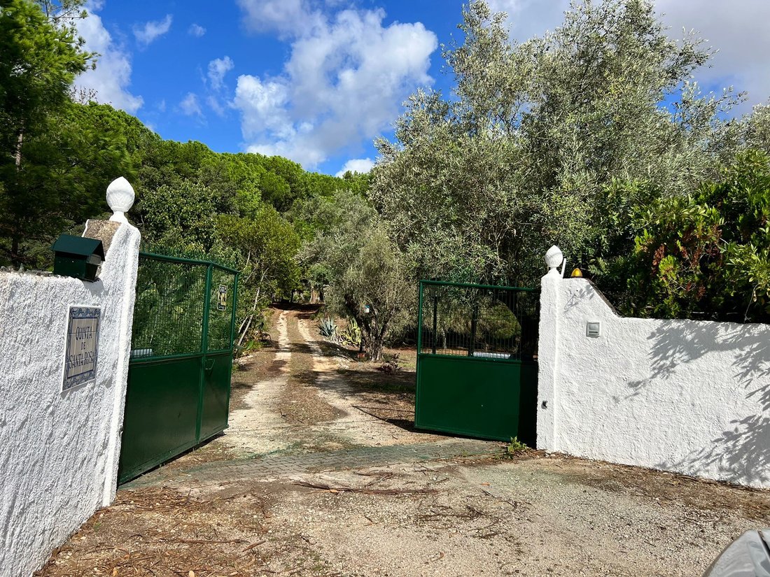 Farm Ranch in Aveiras de Baixo, Lisbon, Portugal 5 - 14908544