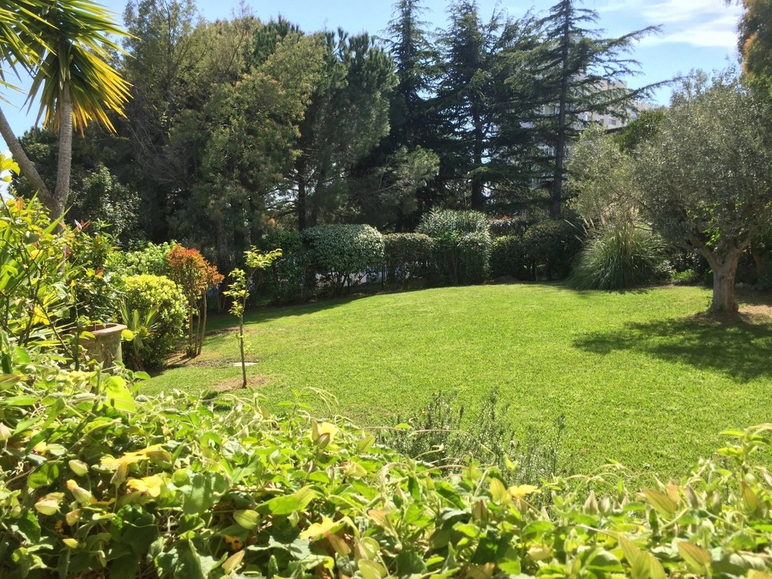Apartment in Les Paluds-Lauvert, Vallauris, France 2 - 12159084