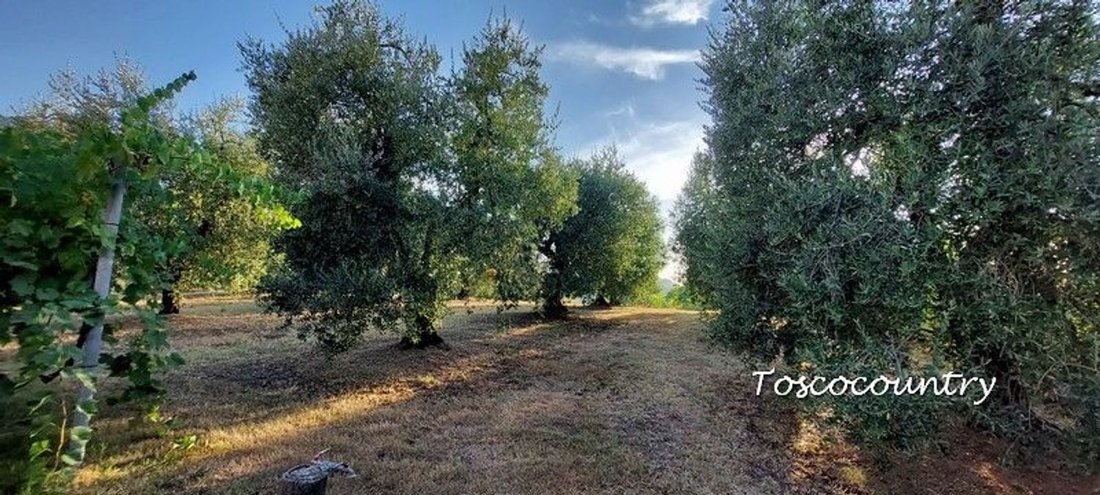 Casa di campagna a Pontedera, Toscana, Italia 3 - 14910514