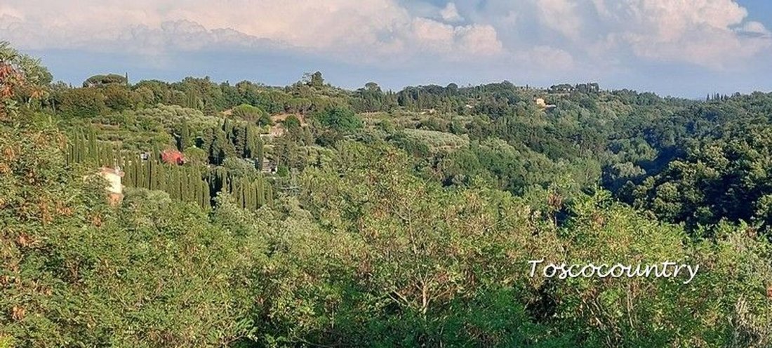 Casa di campagna a Pontedera, Toscana, Italia 2 - 14910514