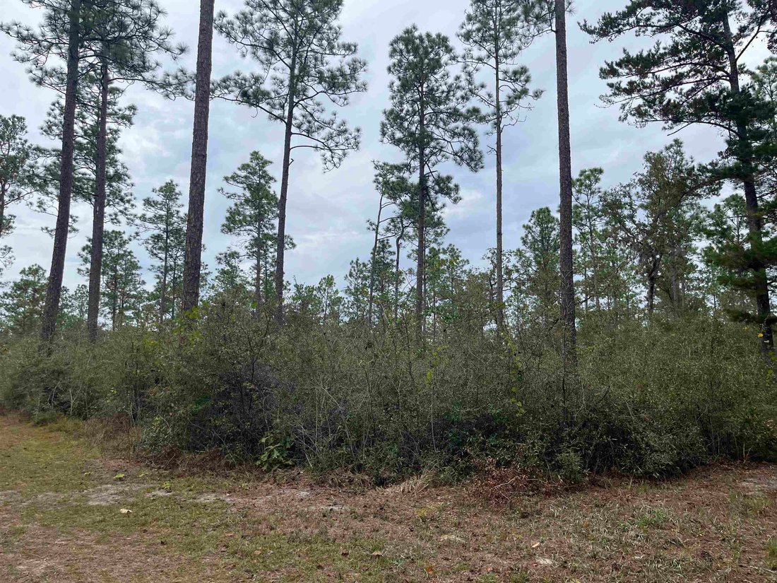 Land in Crawfordville, Florida, United States 3 - 14917334
