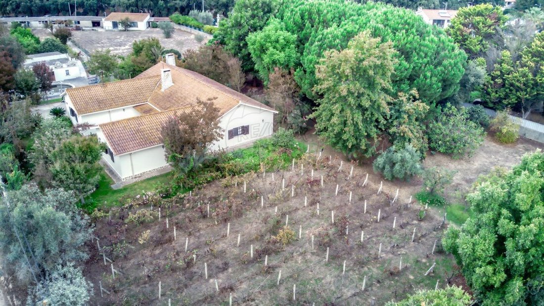 Villa in Quinta do Anjo, Setúbal, Portugal 2 - 14913840