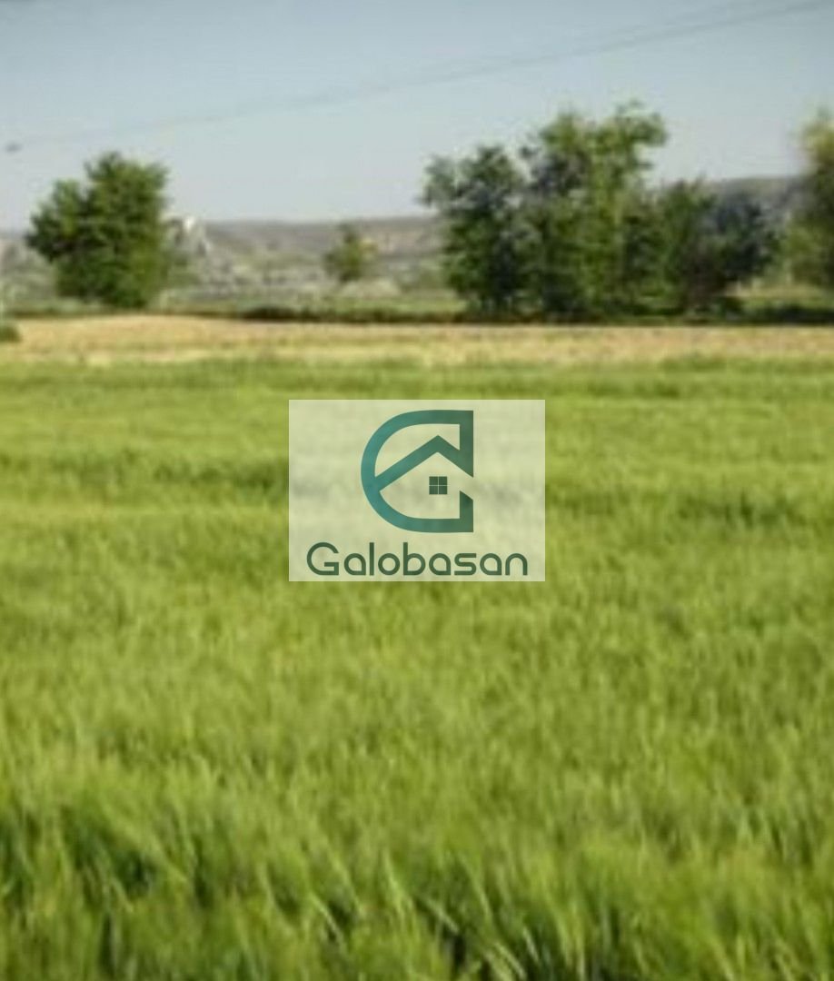 Land in Aranjuez, Comunidad de Madrid, Spain 4 - 14915996