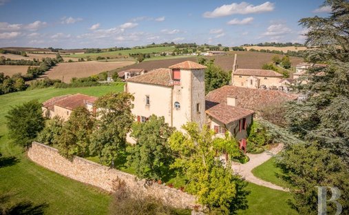 Castle for Sale in Aurignac, Occitanie, France