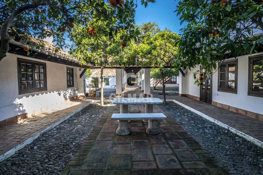 Villa in Guadiaro, San Roque, Andalusia 5 - 14919750