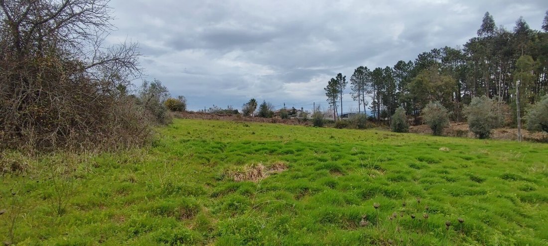 Land in Leiria, Pousos, Barreira e Cortes, Leiria District, Portugal 4 - 14928382