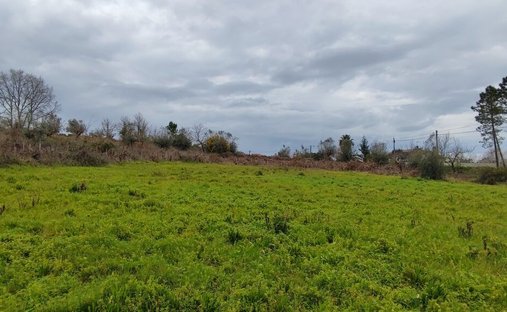 Land in Leiria, Pousos, Barreira e Cortes, Leiria District, Portugal 1