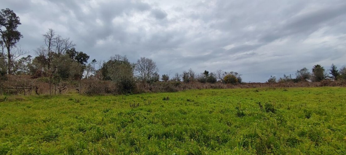 Land in Leiria, Pousos, Barreira e Cortes, Leiria District, Portugal 2 - 14928382