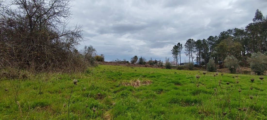 Land in Leiria, Pousos, Barreira e Cortes, Leiria District, Portugal 5 - 14928382