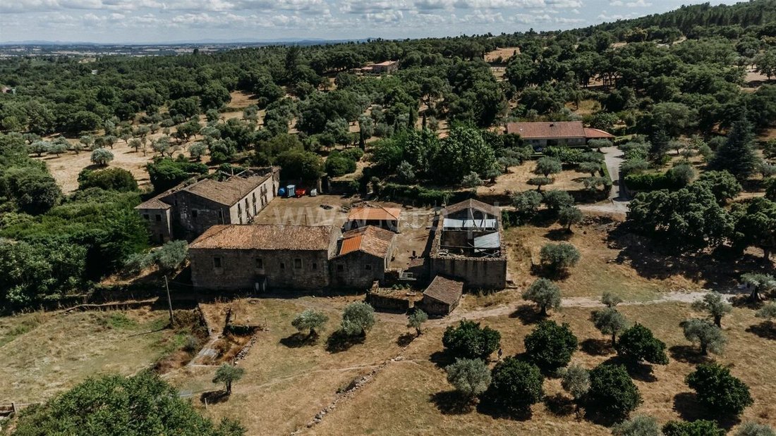 Farm Ranch in Castelo Novo, Castelo Branco District, Portugal 3 - 14928385