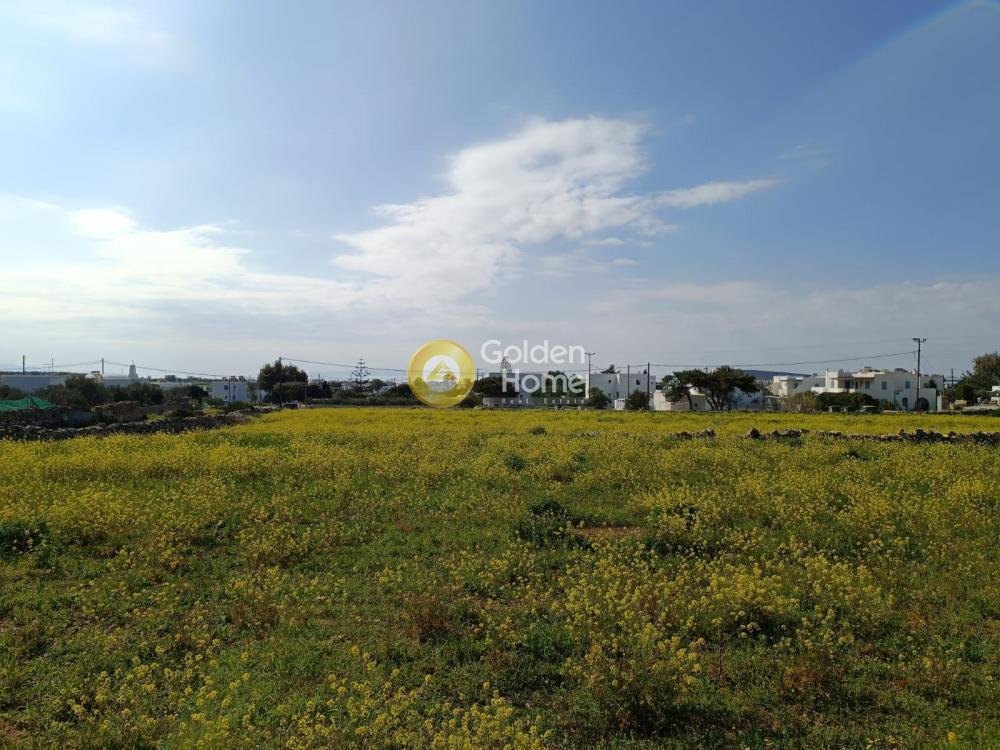Land in Paros, Aegean, Greece 2 - 14371831
