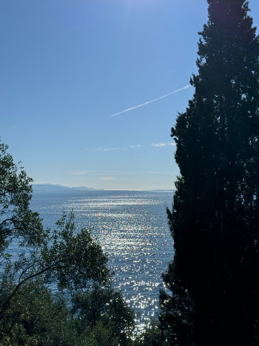 Land in Corfu, Peloponnese, Western Greece and the Ionian, Greece 5 - 14934184