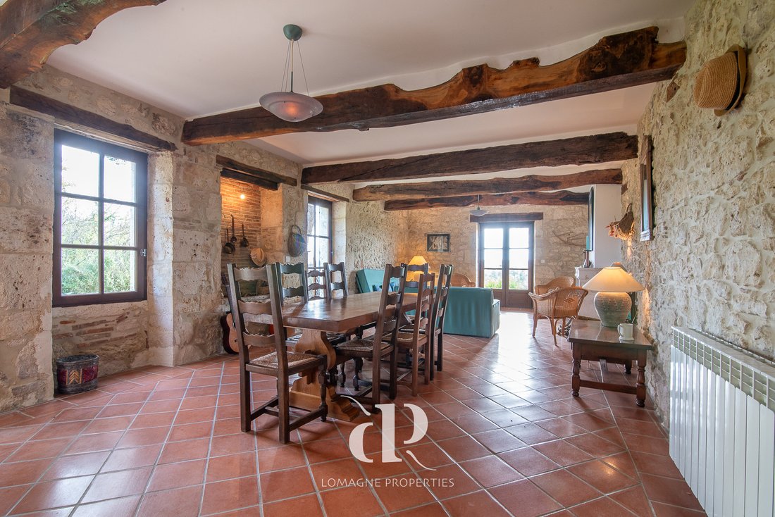 The Crown of Occitanie: A Sunlit Stone Château Whispering to the Skies