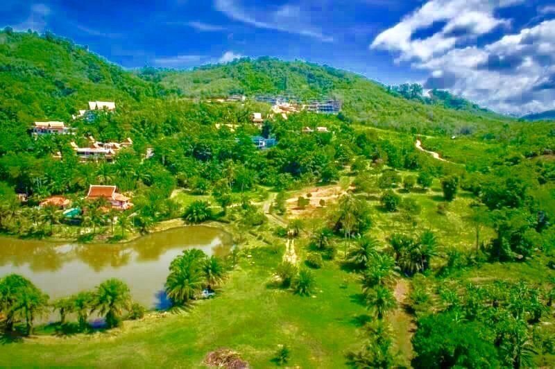 Land in Choeng Thale, Phuket, Thailand 4 - 12162448
