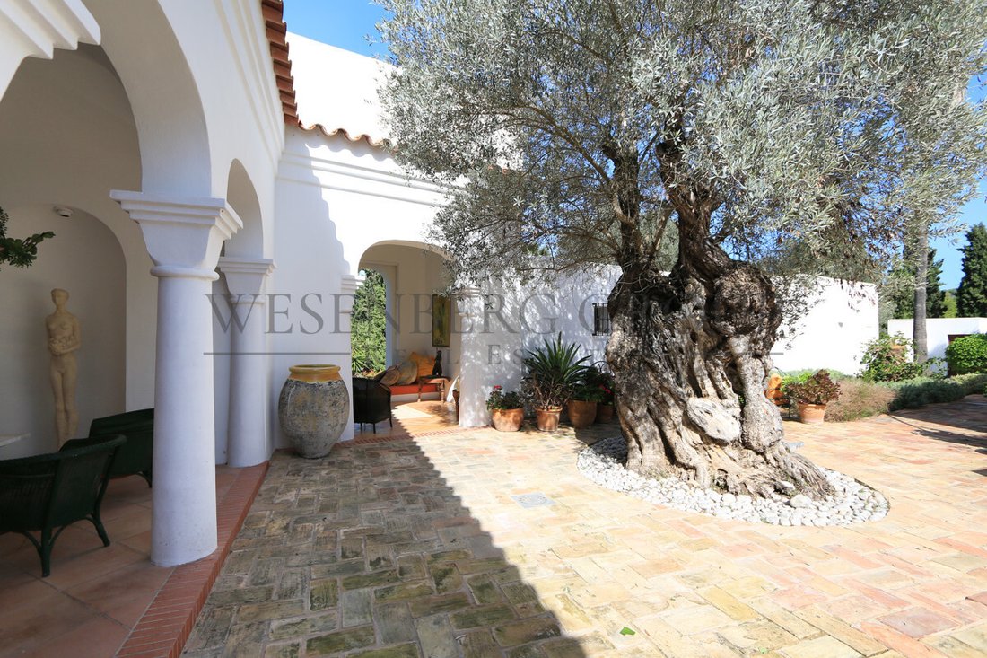Villa in Cala Llonga, Ibiza, Santa Eularia des Riu, Balearic Islands 4 - 14938442