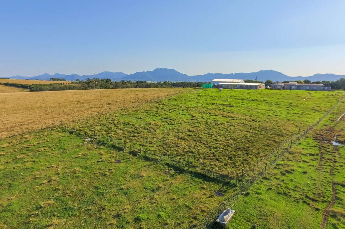 Farm Ranch in Glentana, Western Cape, South Africa 5 - 14939532