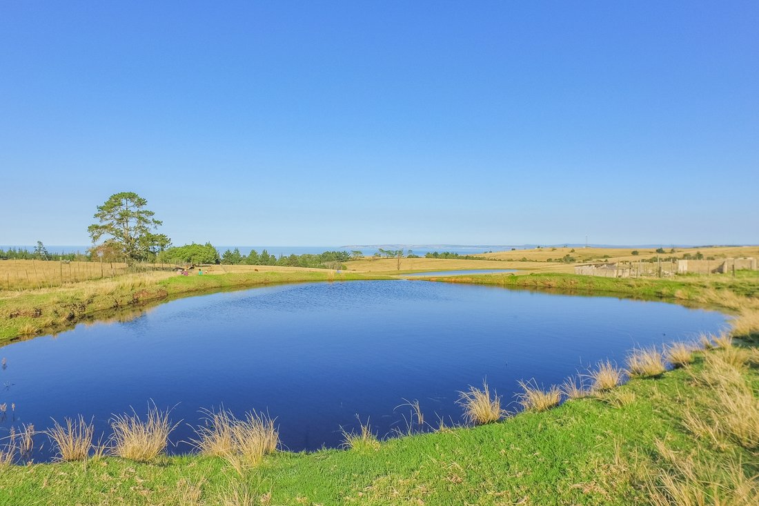 Farm Ranch in Glentana, Western Cape, South Africa 4 - 14939532