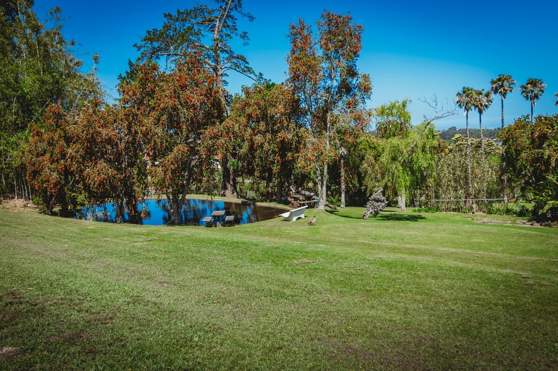 Farm Ranch in Blanco, Mont Fleur Mountain Estate, Western Cape 4 - 14942302