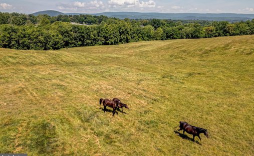 Land in Marshall, Virginia, United States 1