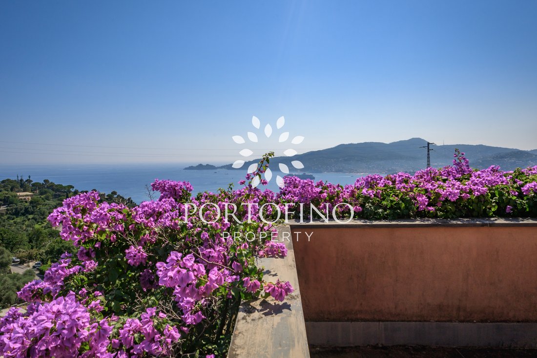 Villa à Zoagli, Ligurie, Italie 2 - 14749456