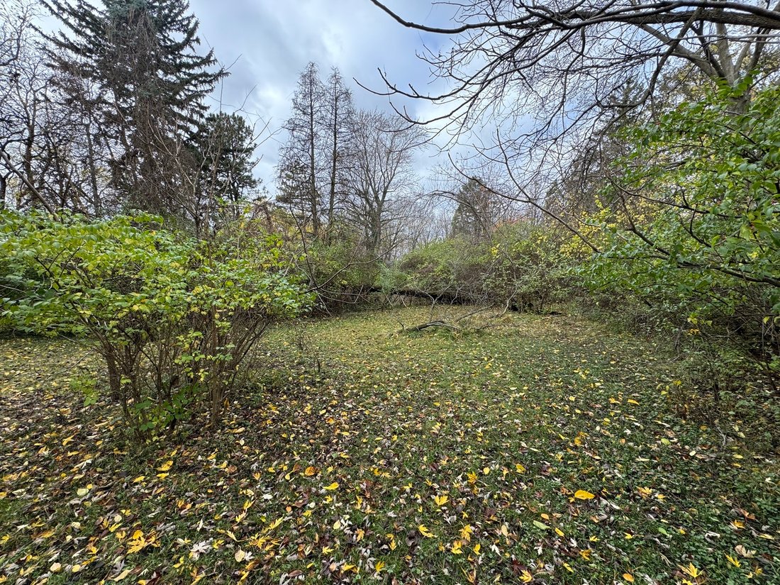 Land in Urbana, Illinois, United States 4 - 14942596