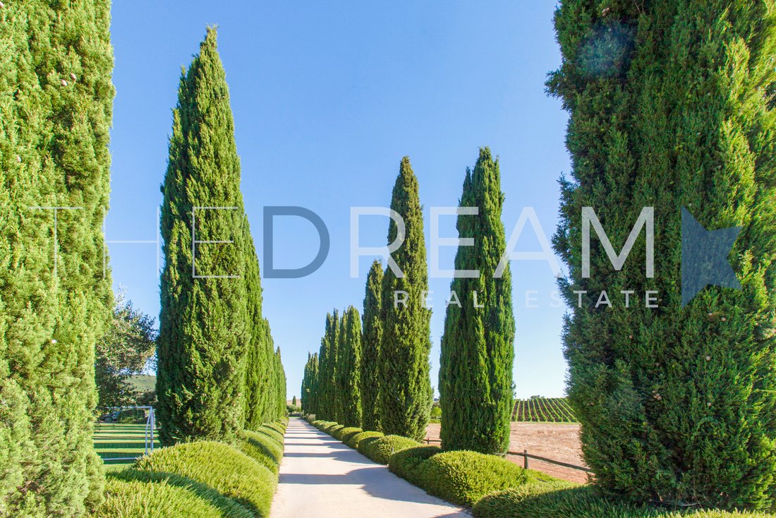 Villa in Capalbio, Tuscany, Italy 3 - 14943436