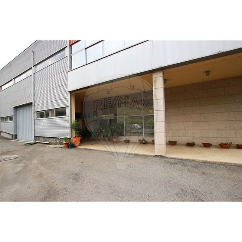 Otros en Ronfe, Braga, Portugal 3 - 14944435